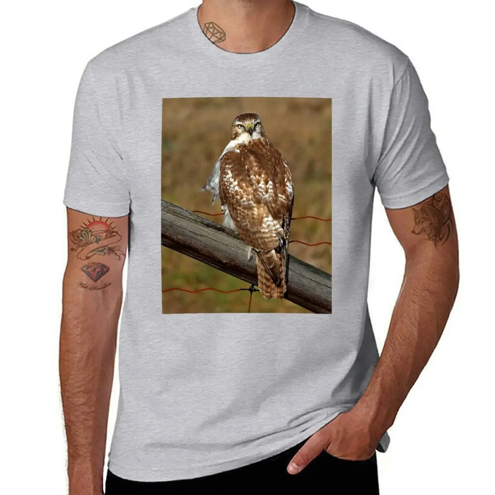 Red-tailed Hawk on fence T-shirt tops boys animal print animal prinfor boys boys whites t shirt men