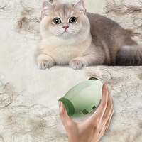 Washable Lint Remover New Multifunctional Reusable Clothes Dust Tools Cleaning Hair Plush Sticky Roller Ball Travel Hair Roller
