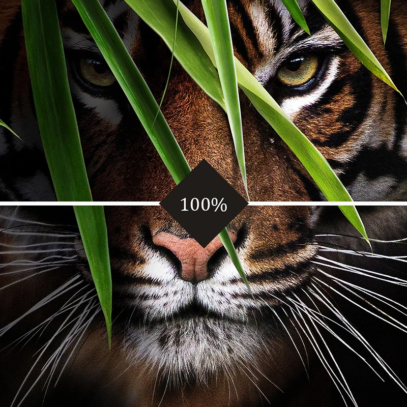 Nach 3D Foto Tapete Tiger Poster Wand Malerei Wohnzimmer Eingang Schlafzimmer Hintergrund Wand Kunst Tier Wandbild Wand Abdeckt