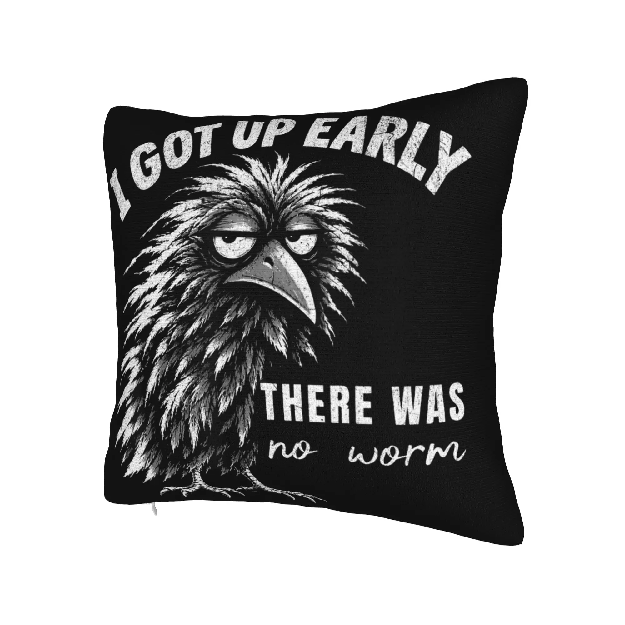 I Got Up Early There was No Worm Grumpy Raven Pillow Case  Cute Funny Pillow Cover Comfy Pillowcases For Living Room Bed Chair