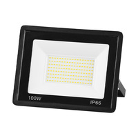 LED PIR Motion Sensor Floodlight IP66 Waterproof LED Floodlights AC220V 100W 50W 30W 20W 10W Outdoor Garden Porch Courtyard Lamp