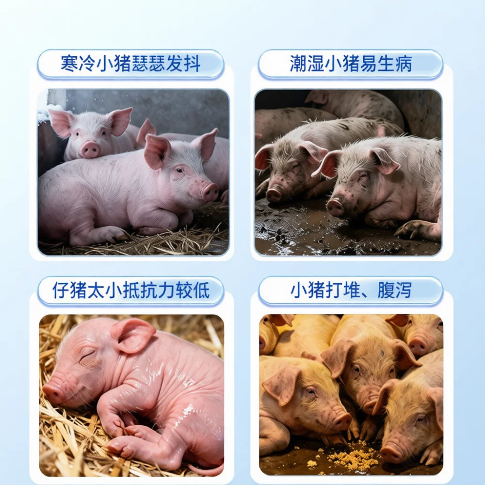 Modern Poultry Brooder Heating Lamp Shade Waterproof Explosion Proof Guard Cover For Farm Animal Chick Breeding Supply