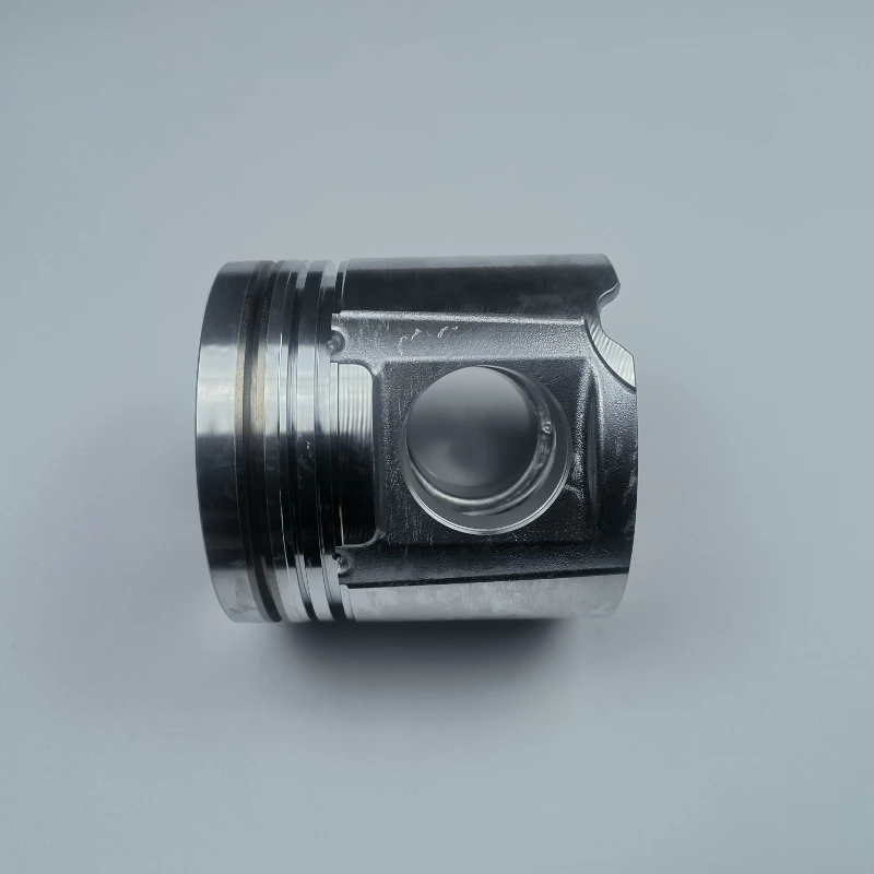 

BFM1013 Spare Parts for Construction Machinery Pistons