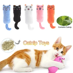 Rustle Sound Plush Catnip Toy para gatos, Bonito gatinho dentes moagem, Polegar travesseiro, Acessórios para animais de estimação