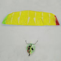 Remote Control Electric Paraglider 81CM Mini Parachute Indoor Aerobatics Paramotor Single Servo Paragliding Kit 3D Printed