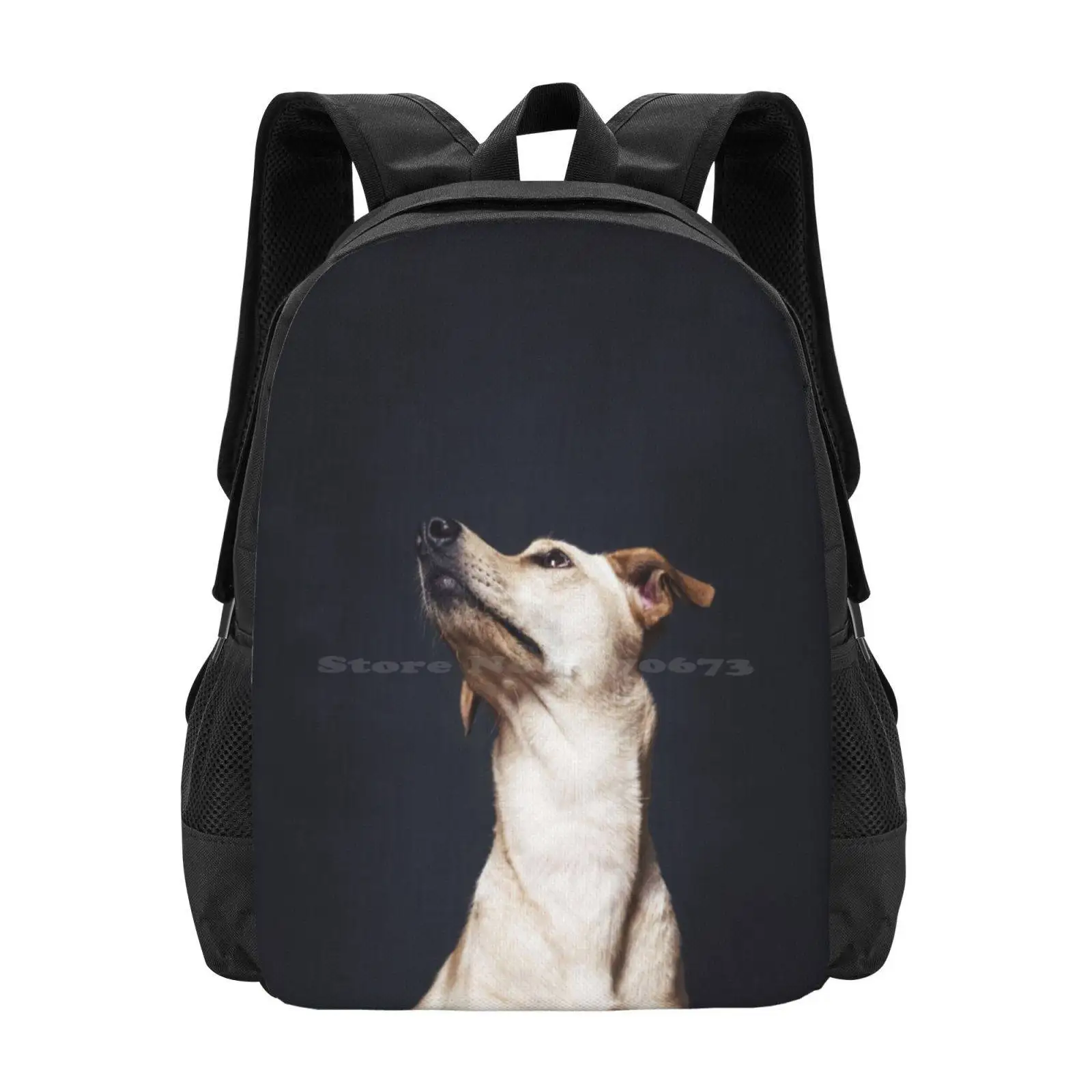 Portrait Of A Beautiful Dog Backpack For Student School Laptop Travel Bag