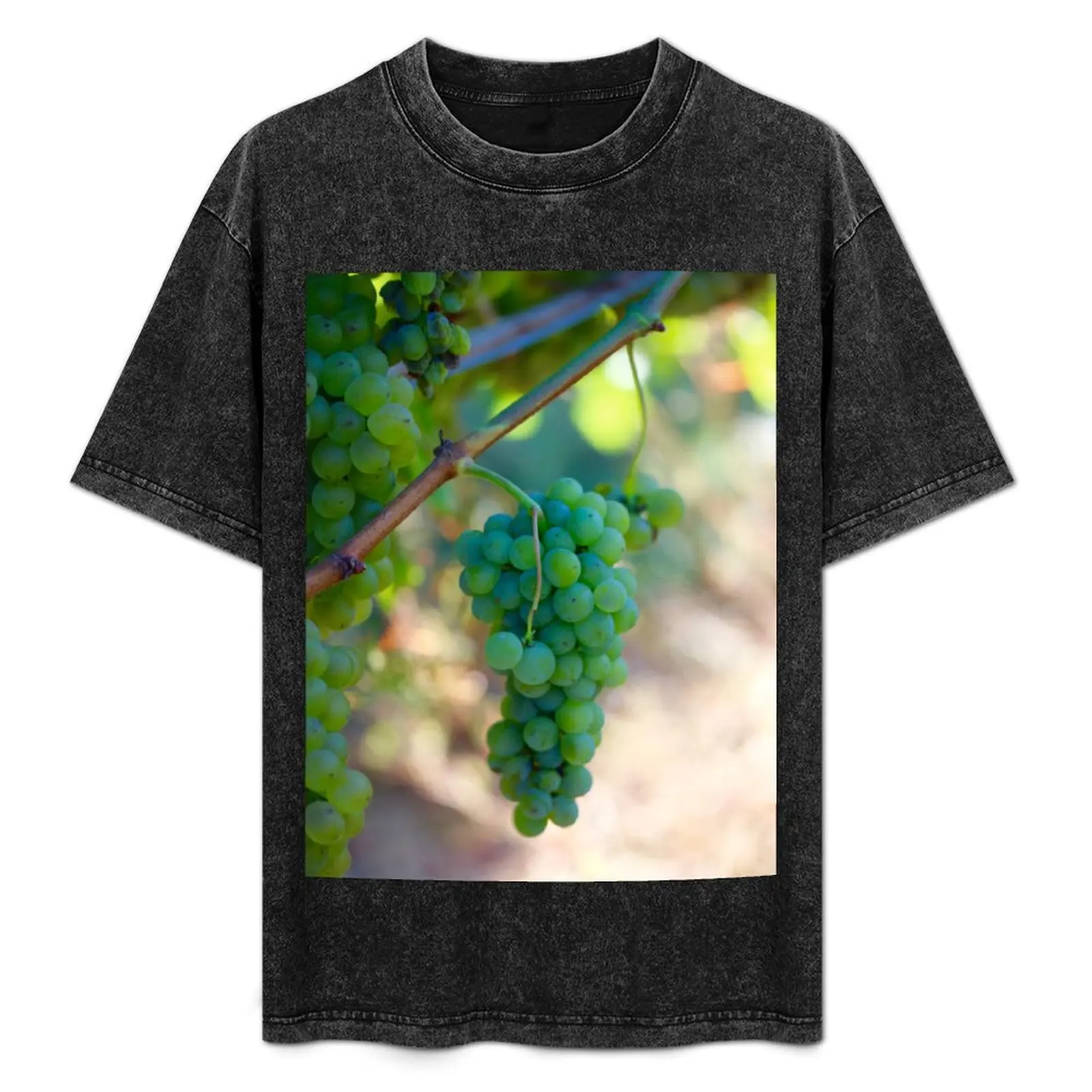 Camiseta Sauvignon Blanc Grapes con estampado de estilo urbano