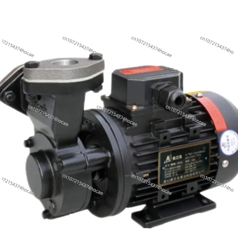 AULANK WD-10 Vortex Pump/WM-05 /10 /20/Steam Boiler Water Replenishment Circulation High Temperature Oil Pump