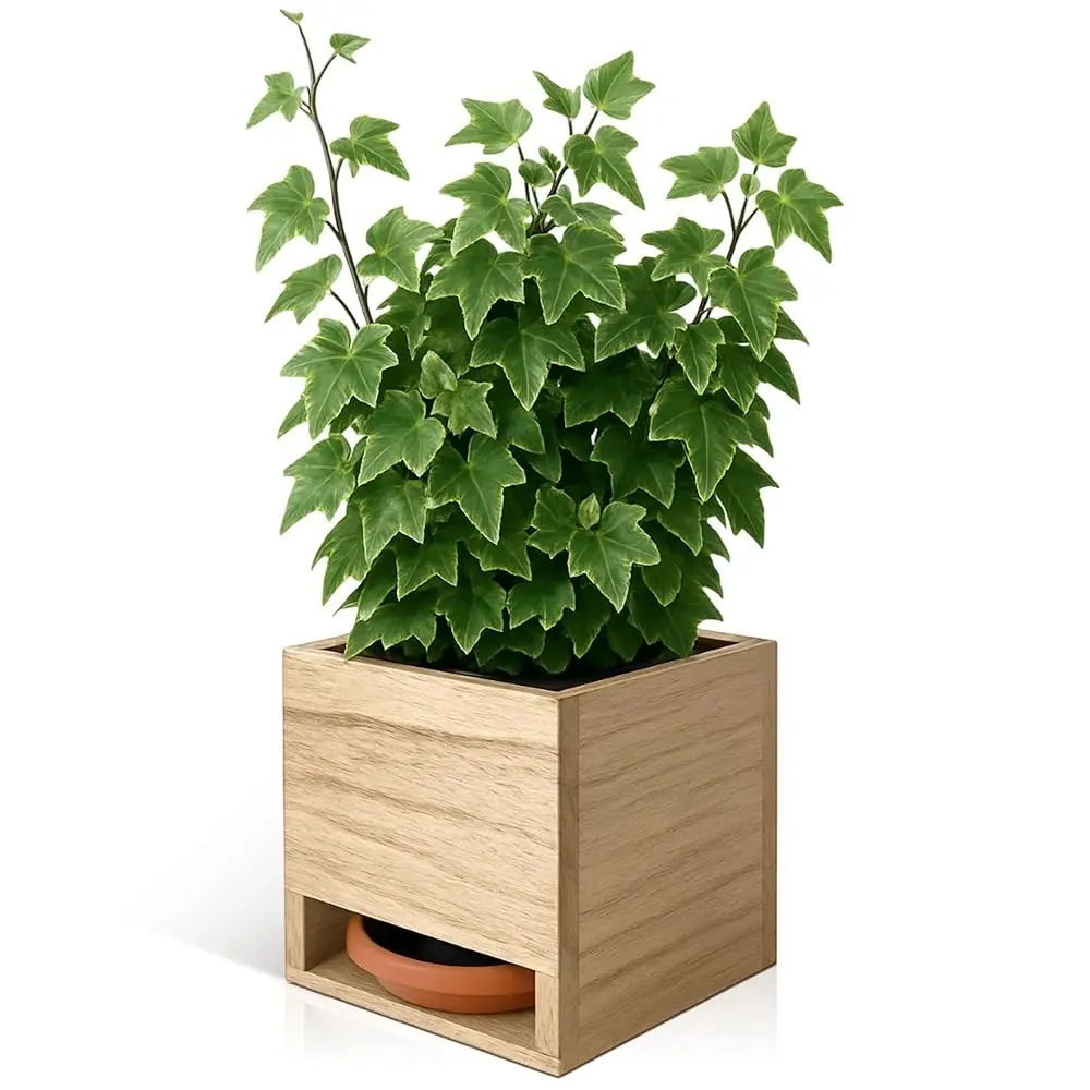 

Кашпо VertiPot (2 шт.) 5x4x5 дюймов для вертикальных подоконников Встроенный водосборник и пластиковый вкладыш | Различные цвета |