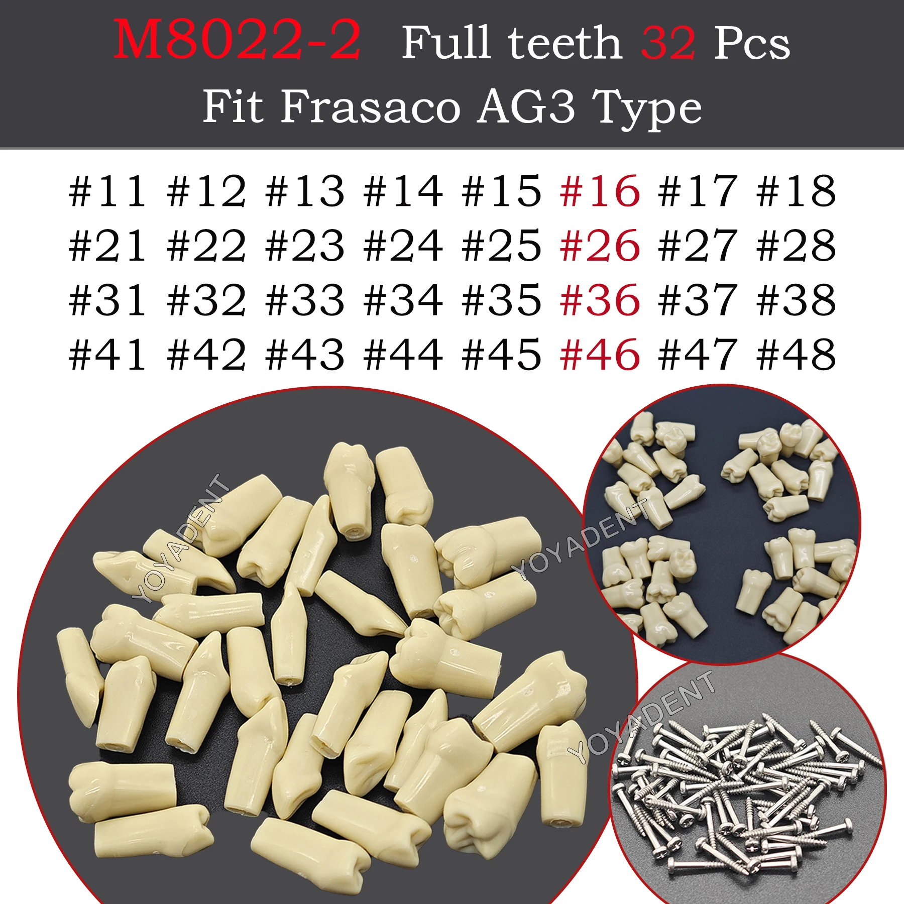 

Запасные зубные части для модели Frasaco AG3: винтовые, для практики пломбирования, имитации десны, обучения стоматологов