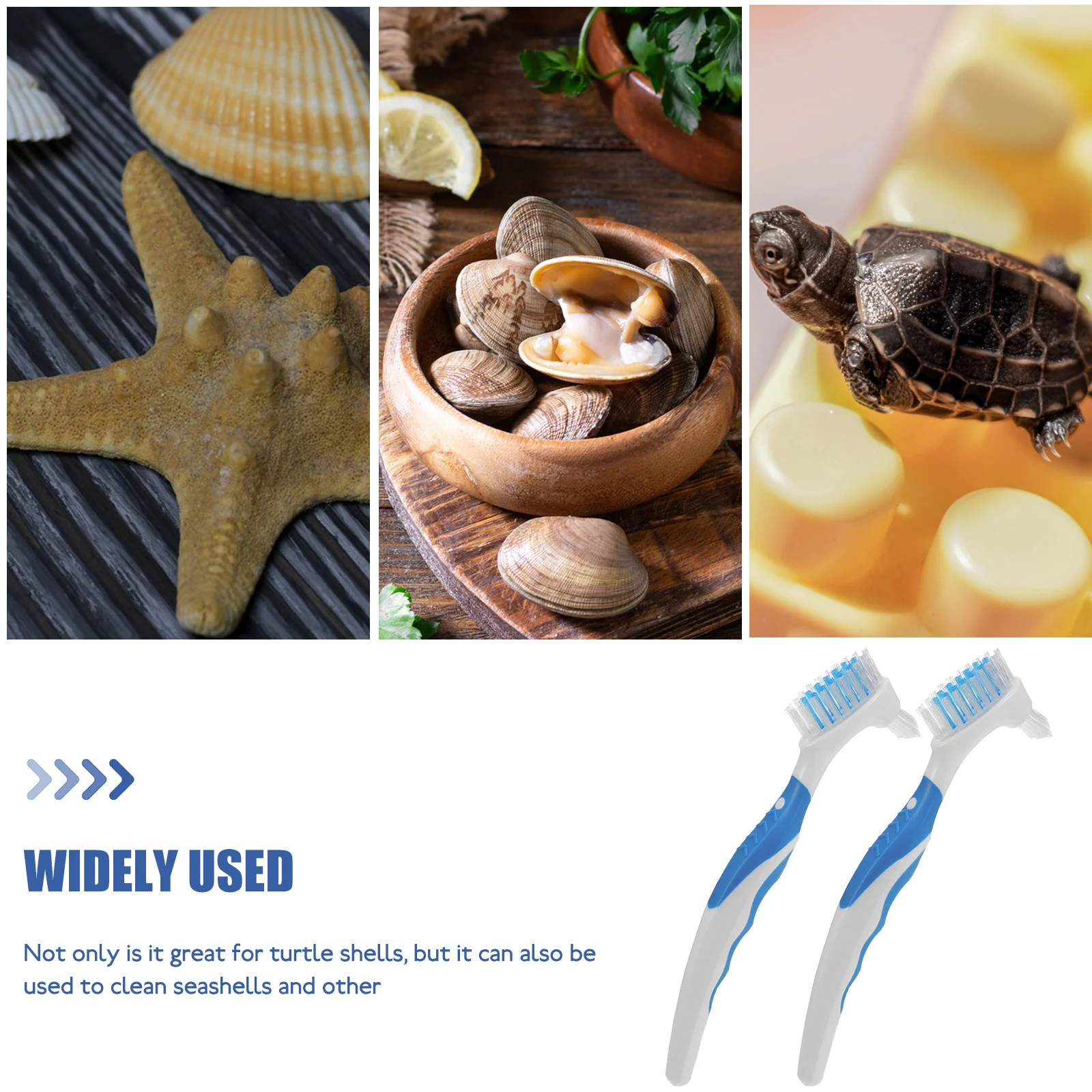 2Pcs Double-Side Tortoise Shell Cleaning Brush Strong Power Mud Dirt Remover Lightweight Compact Design for Aquarium Pets and