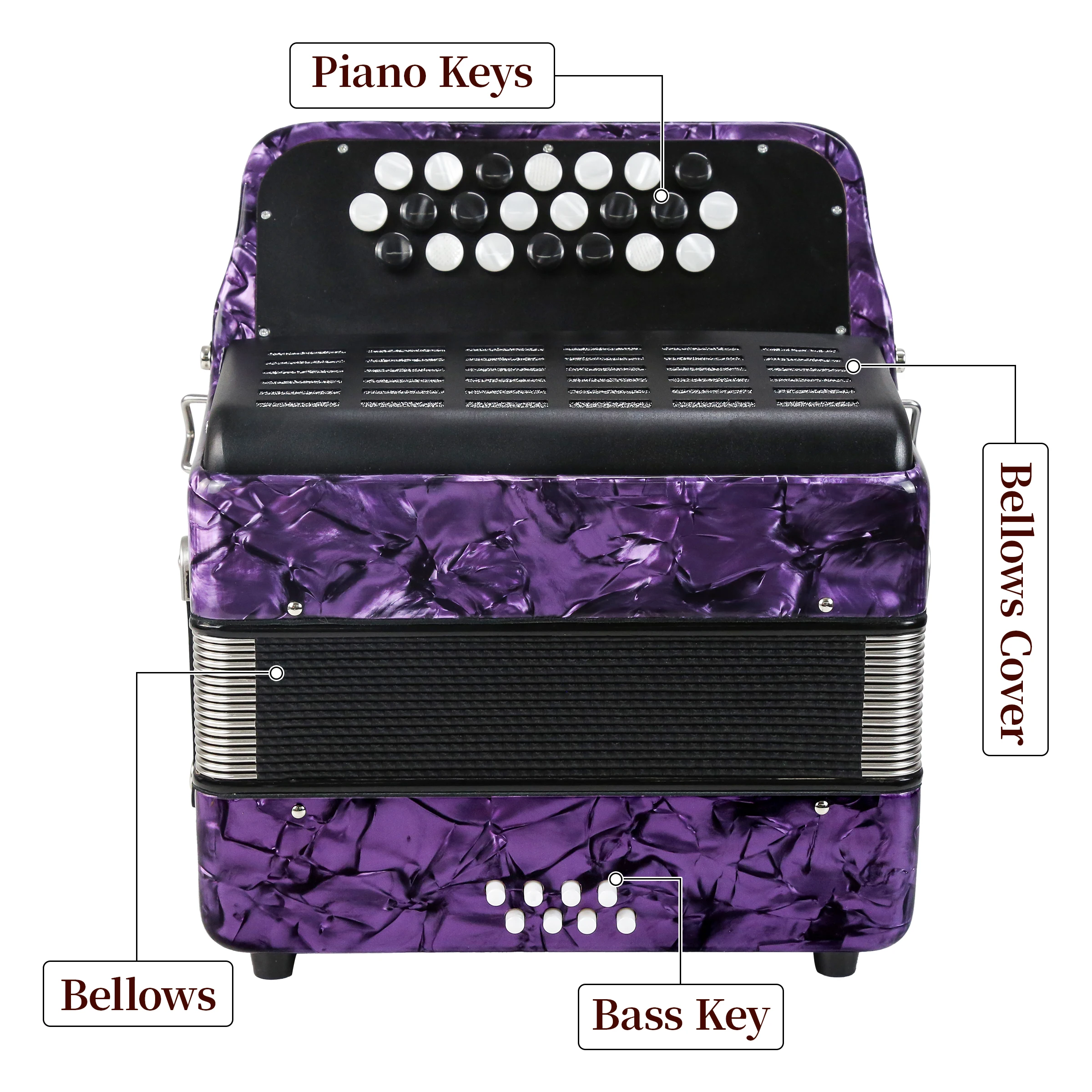 22 Key 8 Bass Accordion With Double Strap, Educational Musical Instrument For Beginners And Students