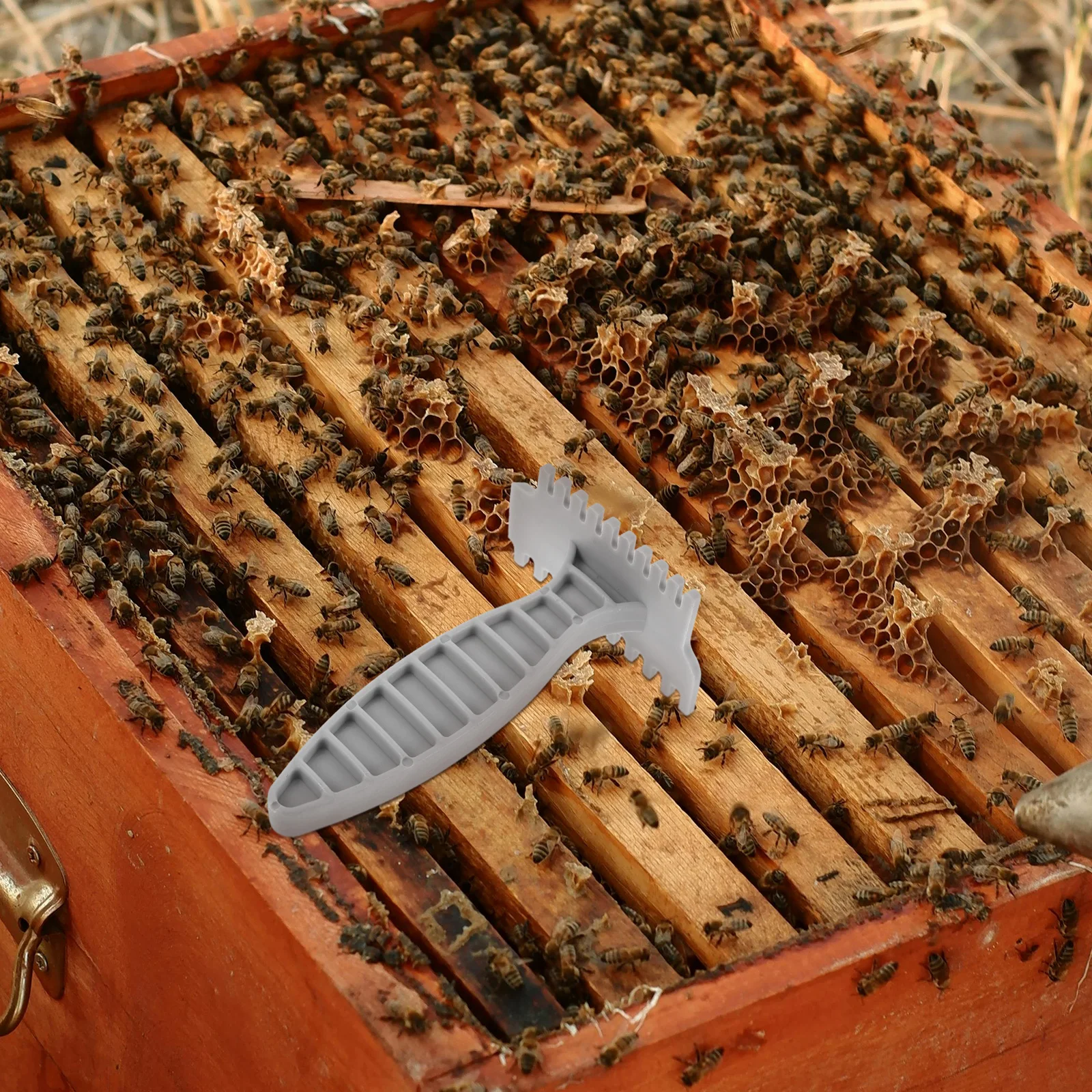 

Beehive Cleaning Shovel Plastic Beekeeping Hive Scraping Tool Durable Comfortable Efficient Garden Beekeeping Maker Dad
