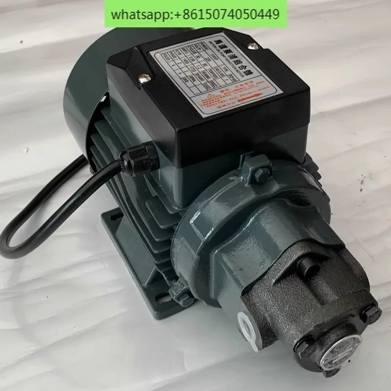 20 V leises, selbstansaugendes einphasiges Motorantriebsrad TOP-12A + 1/4 PS