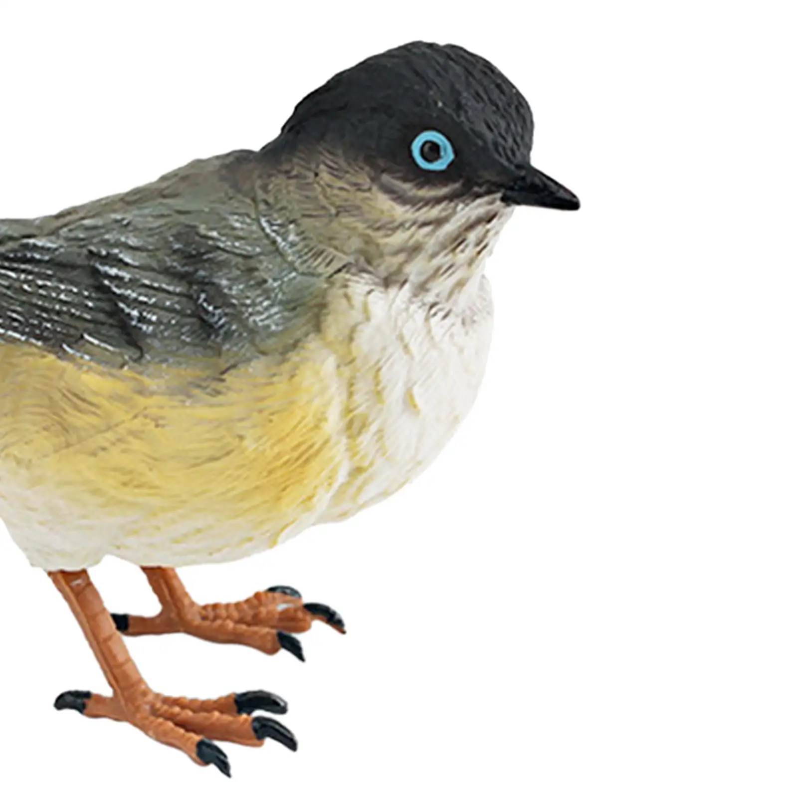 Miniature Birds Decor Handpainted for Children Simulation Bird Figurines for Wedding Festival Tabletop Home Decor Bookshelf