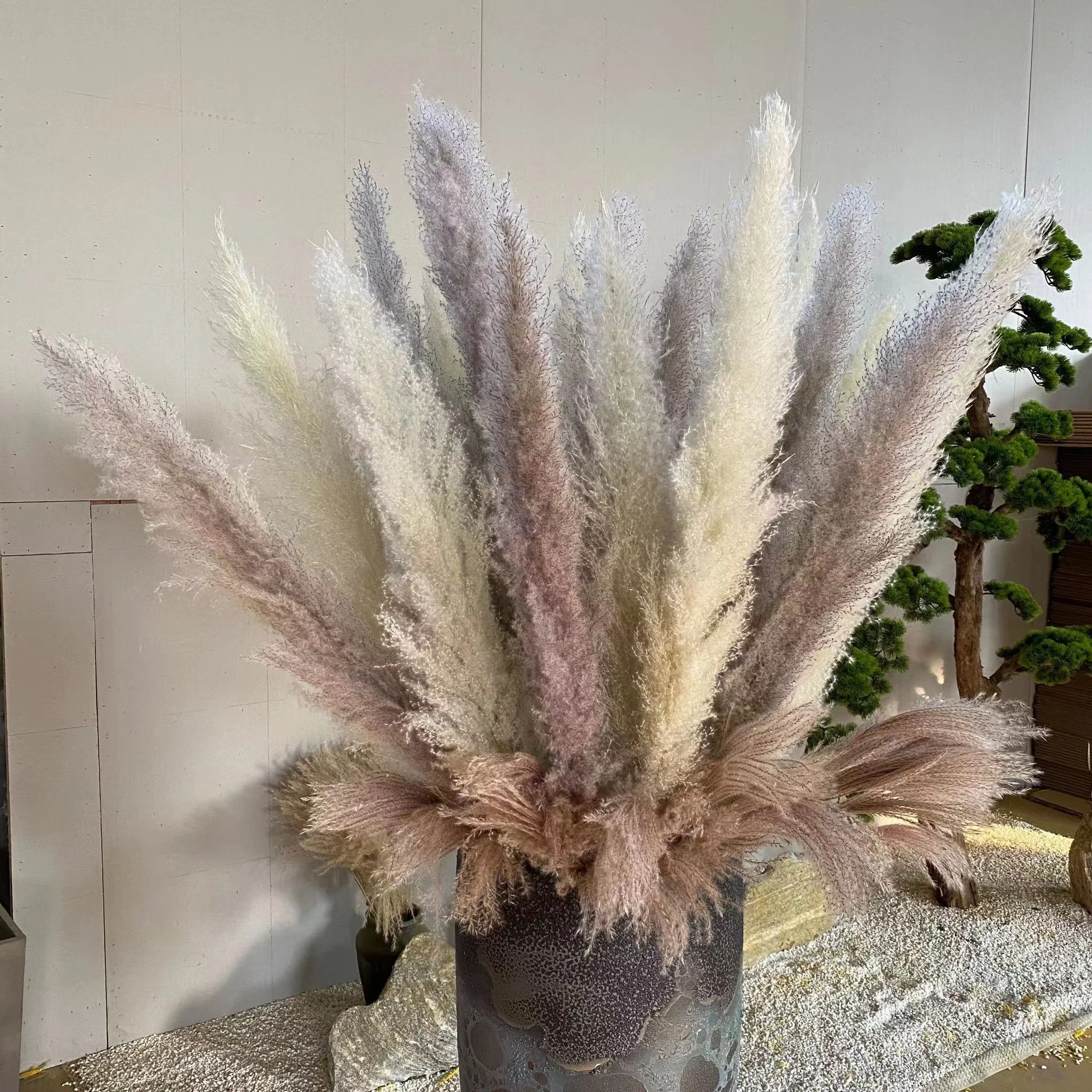 

Natural Dried Flowers Large Pampas Grass Fluffy Pink White Grey Wedding Bouquet Gift Floral Decoration Artificial Flowers DIY