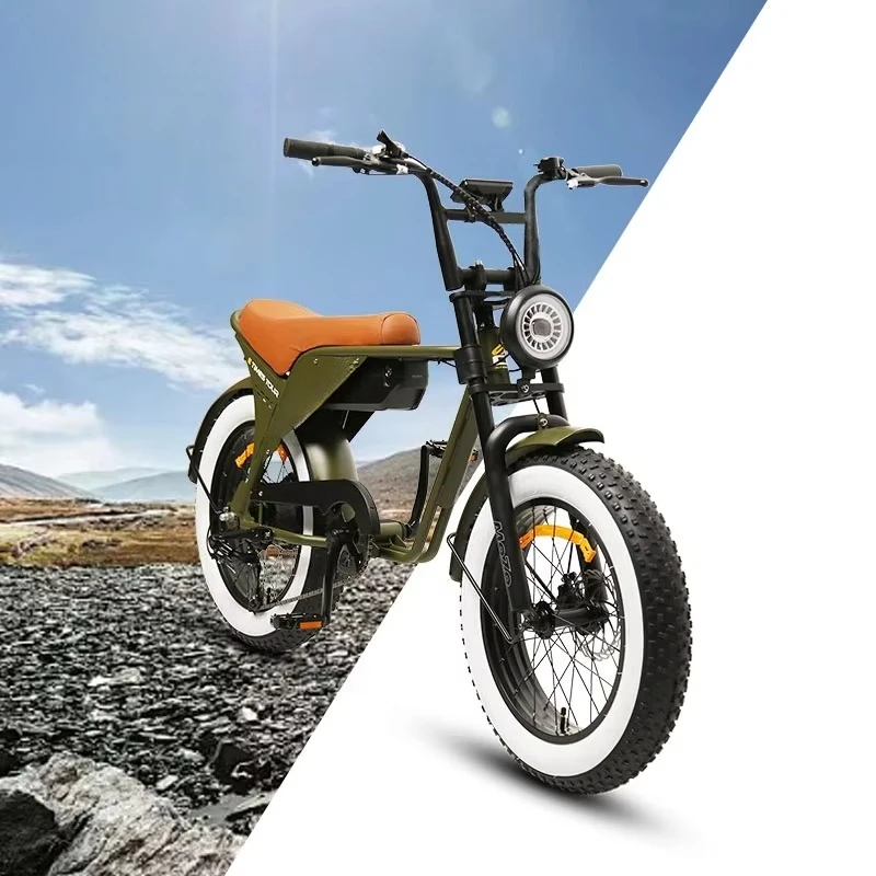 QQW TXED 20 inch economy fat tire bicycle 250w Ebike 48v electric bicycle motorcycle Ebike