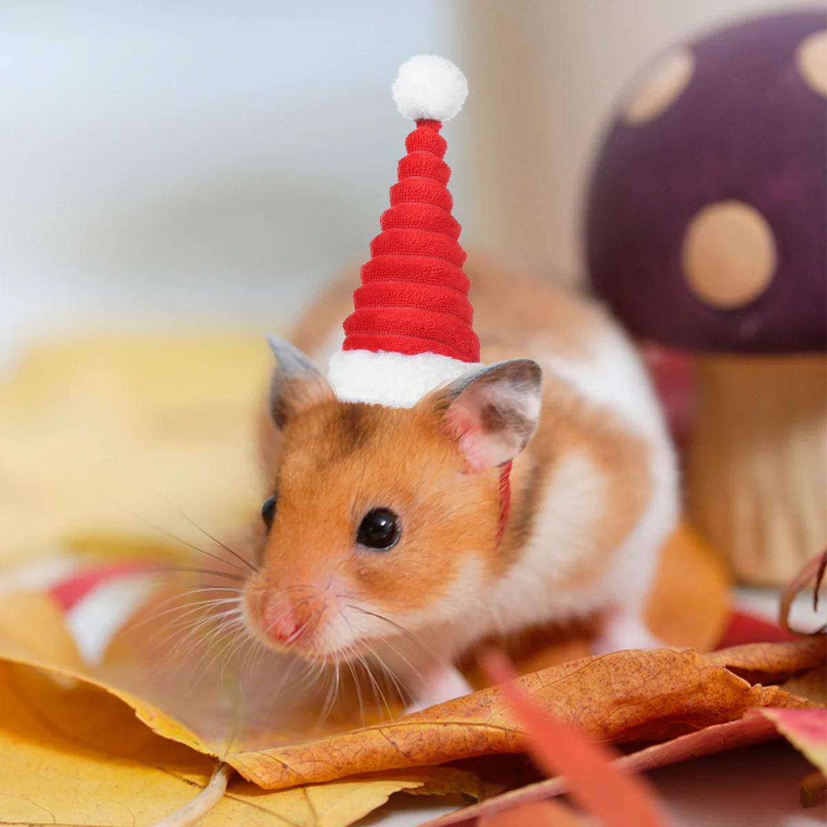 

Christmas Hat For Small Pet Christmas Hat Dog Cat Hamster Cute Party Accessory Holiday Photo Shoots Daily