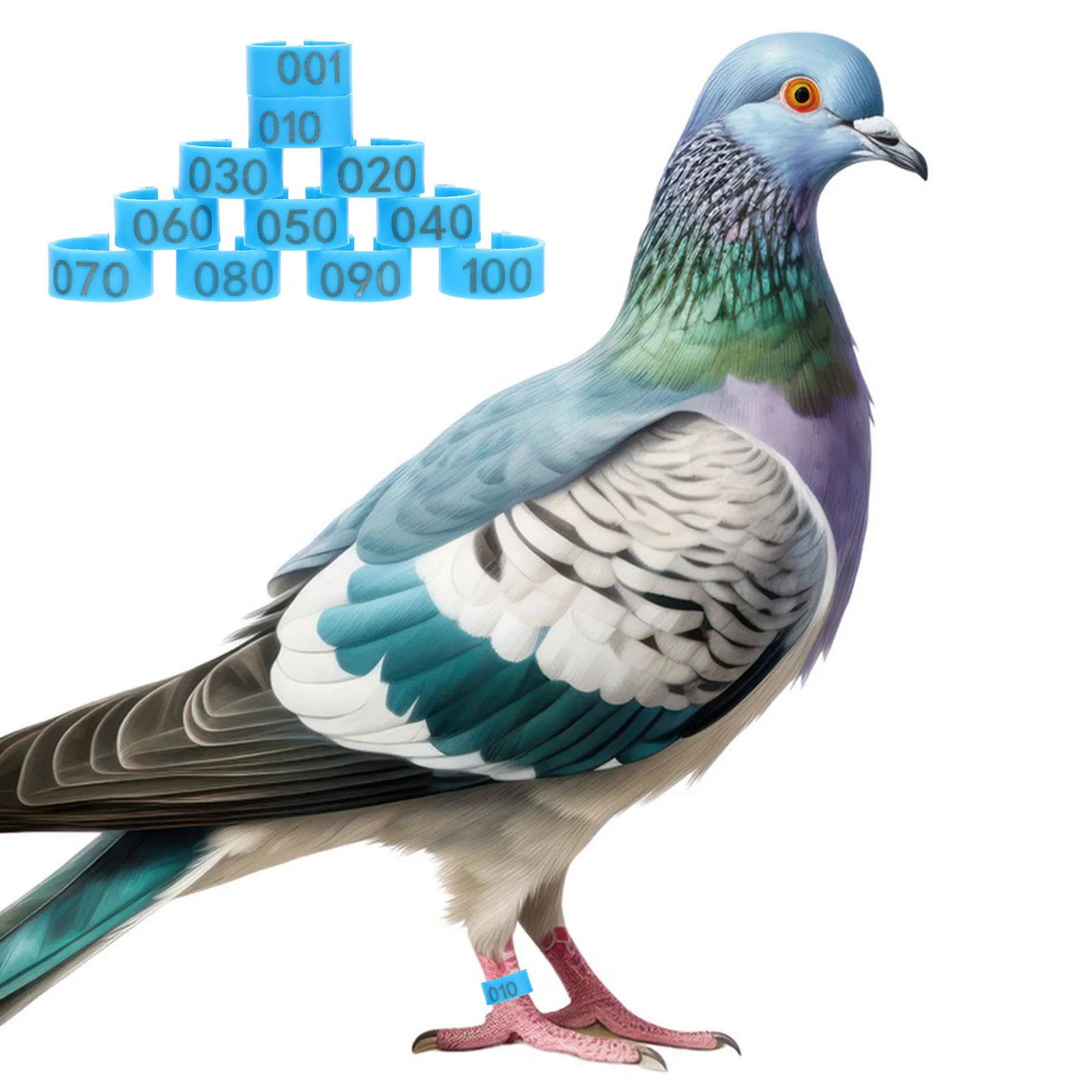 

100pcs Digital Identification Foot Rings For Pigeons Bird Leg Bands Lightweight Durable Plastic Poultry Accessories Racing