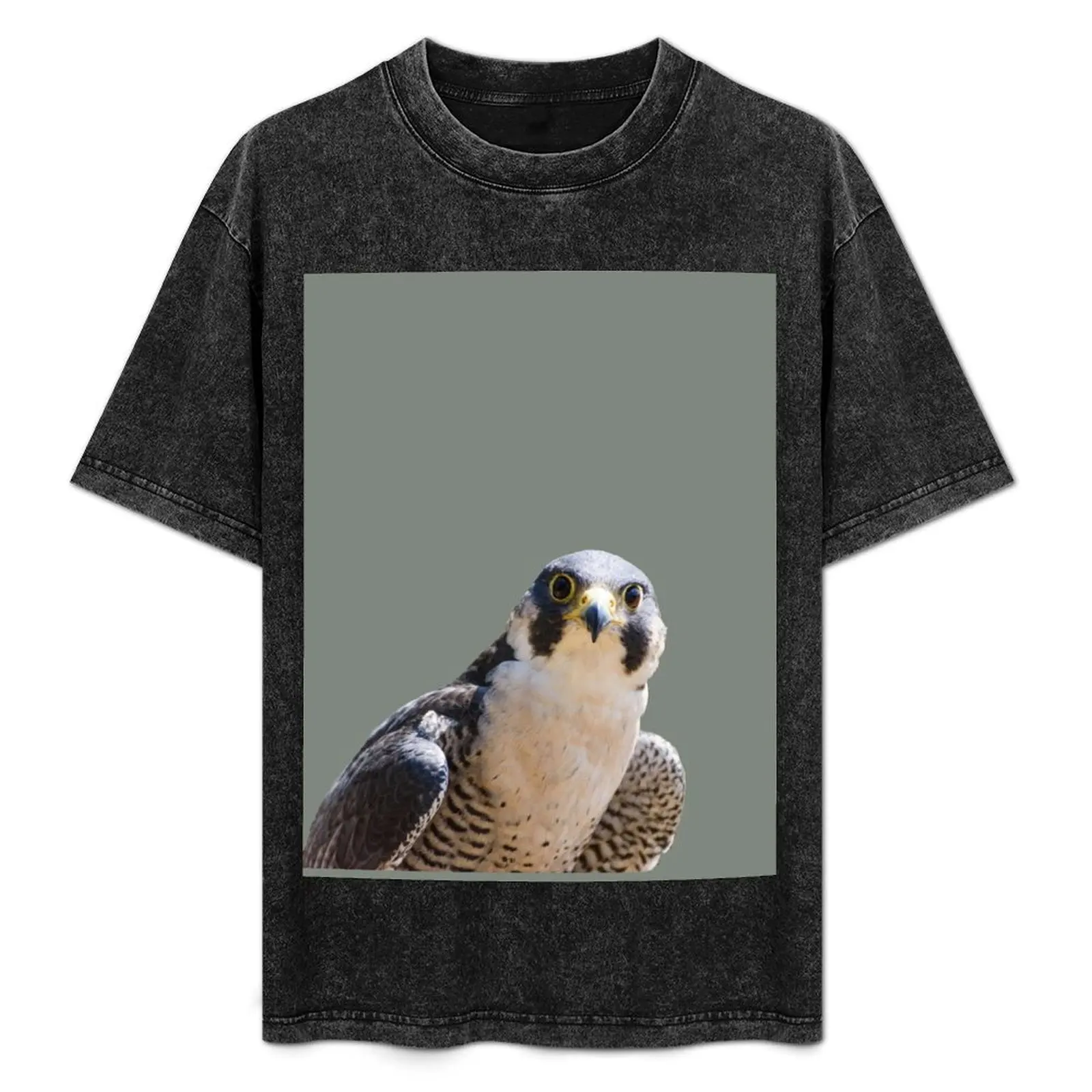 

Peregrine falcon T-Shirt Aesthetic clothing graphic tee shirt summer clothes boys animal print mens t shirt graphic