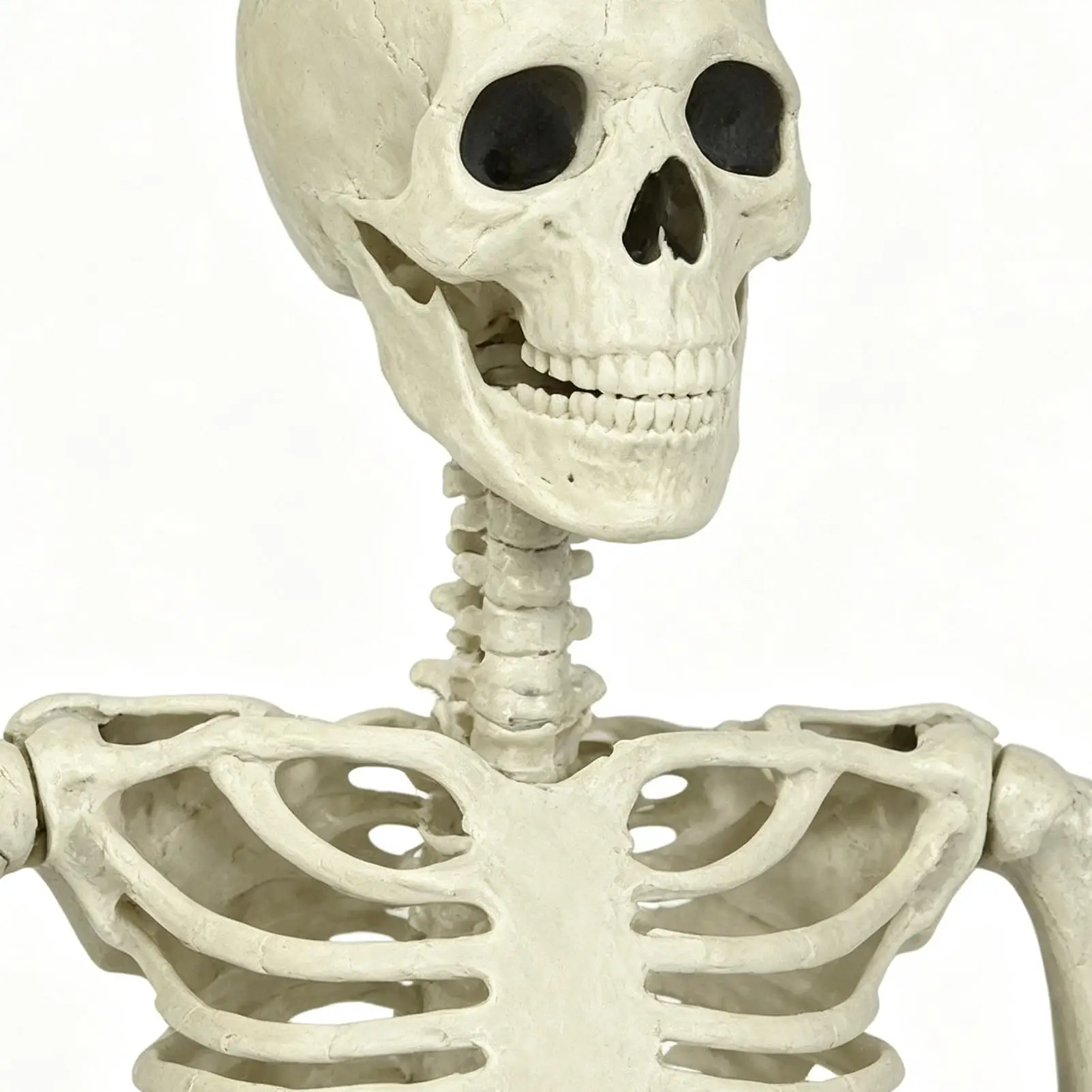 Skeletons For Halloween Realistic Posable Bones Prop With Dog Skull Life-Size Full Body Realistic Posable Skeleton For Home
