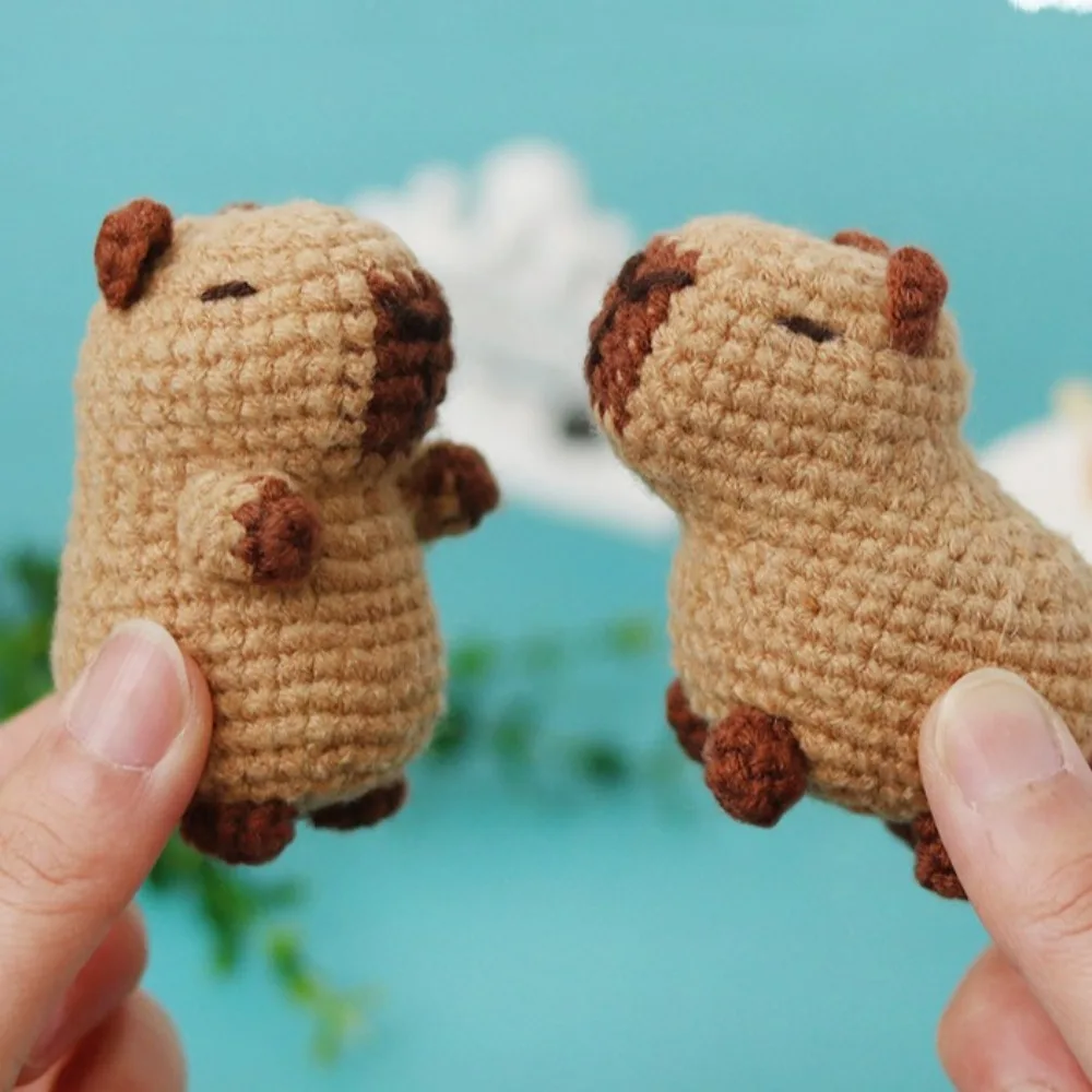 DIY Kit de Crochet com Ganchos para Iniciantes, Crochê Recheado Animal, Capivara Handmade, cobaia, Conjunto de Fios, Novo