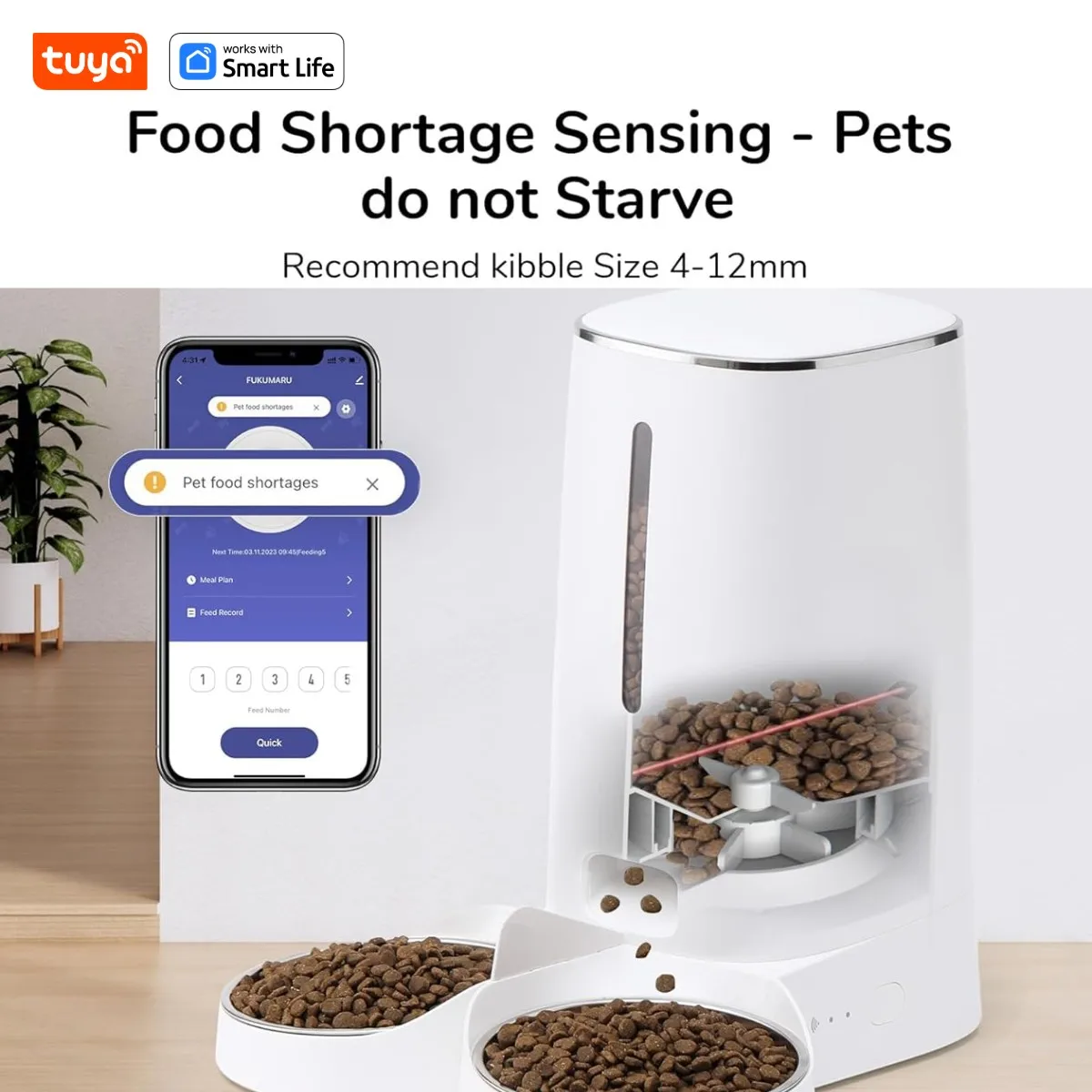 Thumbnail 4 - #64 Best Automatic Cat Feeders to Buy In 2026