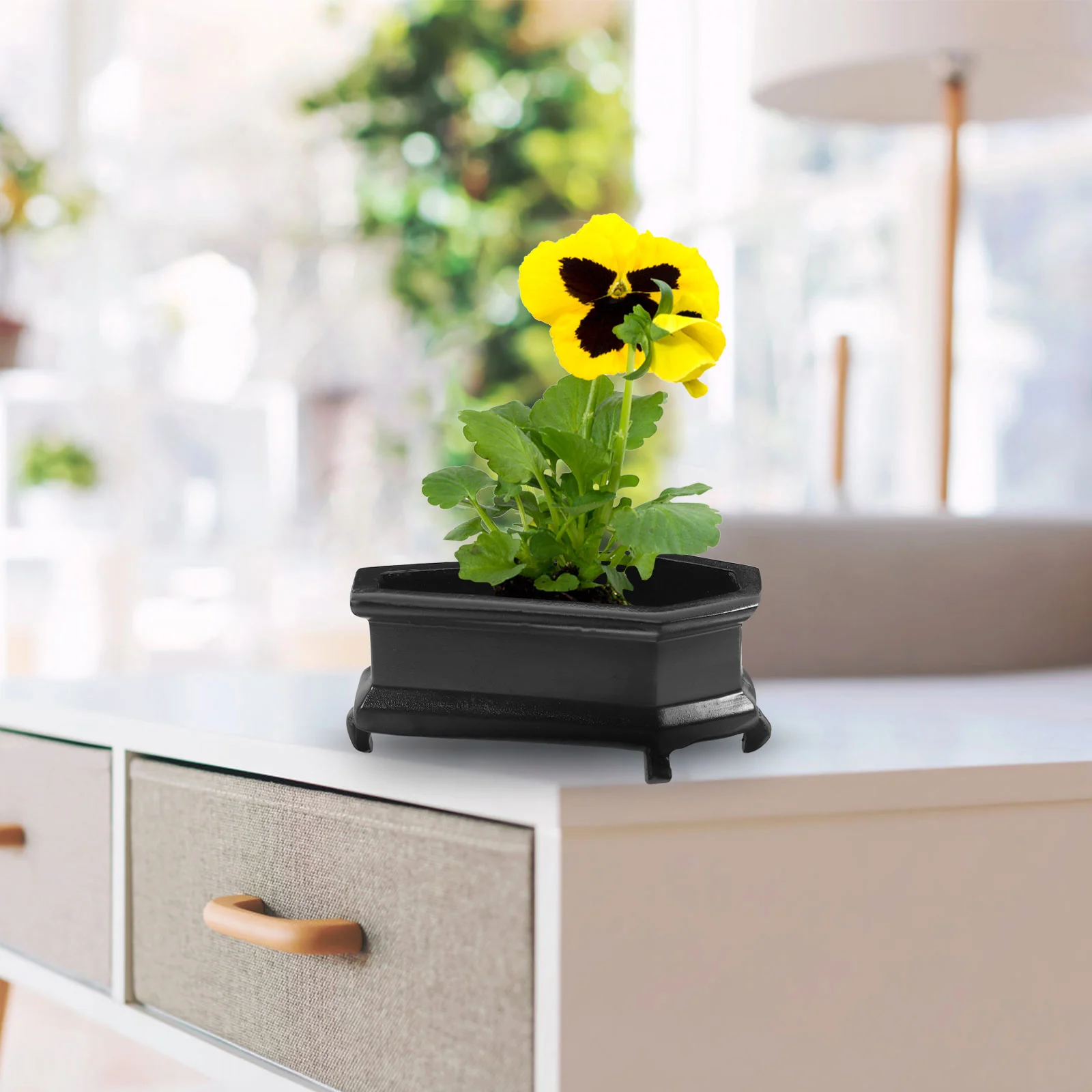 Small Coffin Flower Pot Vase Vases for Centerpieces Artificial Succulent Plants Pots Ornaments