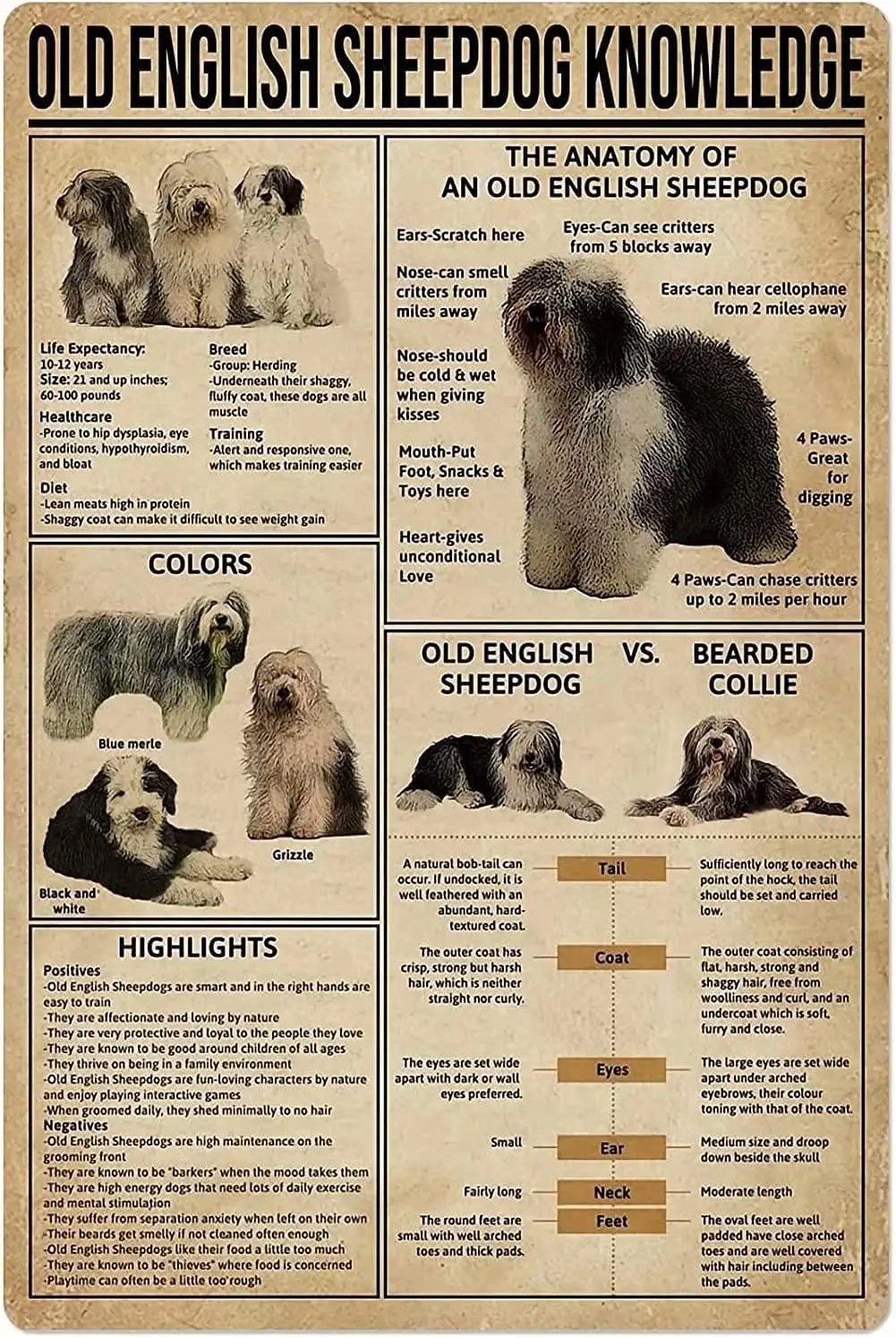 LALLRI Old English Sheepdog Knowledge Metal Tin Sign Vintage The Anatomy Of An Old English Sheepdog Retro Poster Plaque Wal sign