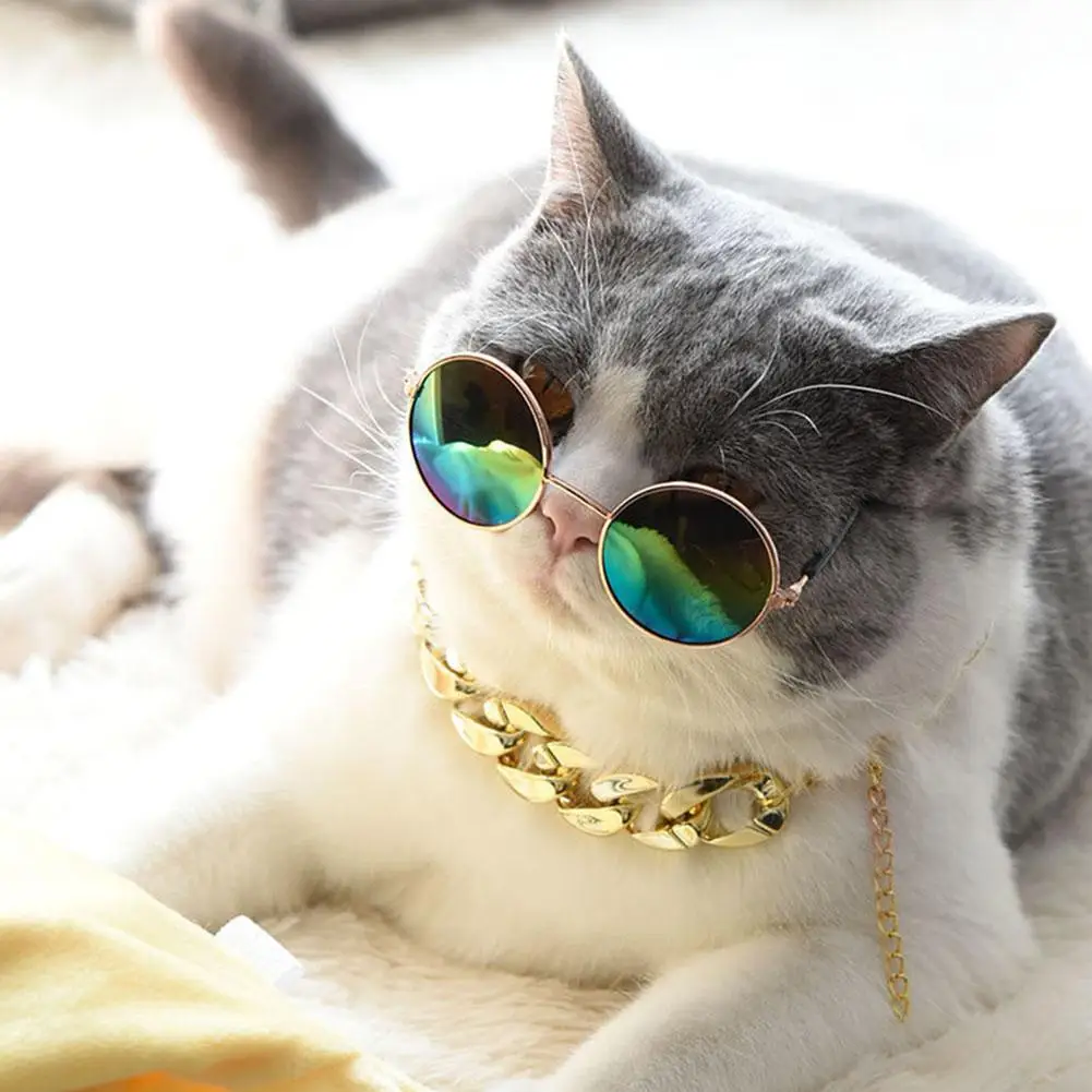 Collar de Bulldog Francés para mascotas, correa ajustable para el cuello, cadena de moda para perros pequeños y medianos, accesorios