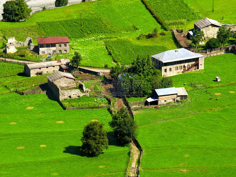 

Металлическая передняя защитная дуга от столкновений для внедорожника LOSI LMT 4WD с цельной осью