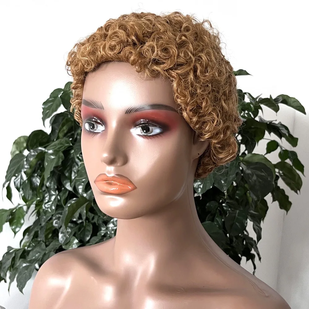 짧은 픽시 컬리 가발 실제 사람 헤어울 롤 아름다운 레이어 및 볼륨 쉬운 관리로 오래 지속되는 스타일 브라질 버진 레미