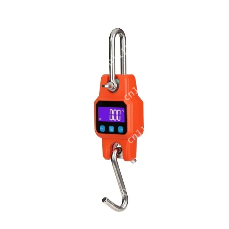 Portable small industrial crane scale, 300kg/50g new small crane scale