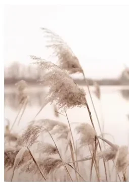 Direct heating  N475 N450 N455 N70 D425  D510 SLBLA D525 SLBXC  Q4E3 Q3D2 Q3D3 Q3D4 Q4L5 Q4KJ Q4KN Q4KS Stencil