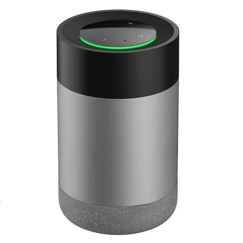 Home Whole House Graffiti Platform System Speaker, Multi-Country Voice