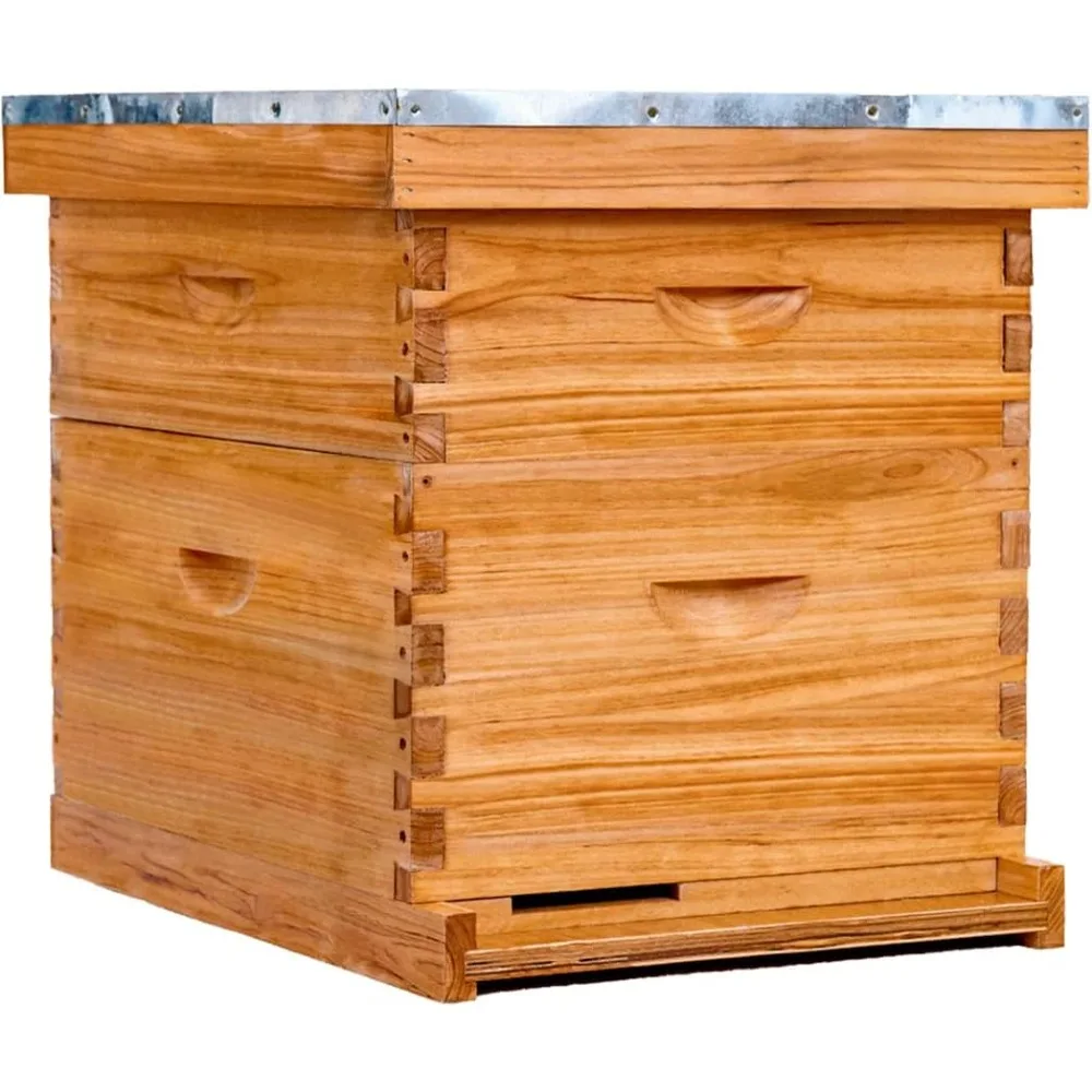 

Bees Hive-10 Frame Beehive Starter Kit,Beeswax Coated Bee Hives for Bee Keeper,Beehive Include 1 Deep Bee Box and 1 Medium