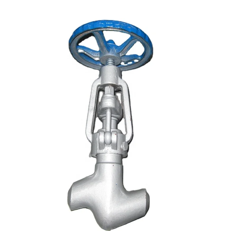 F304 Stainless Steel Body Forged Bolt Valve Cover 2500 Socket Welded Globe Valve Gate Valve Standard Universal Price