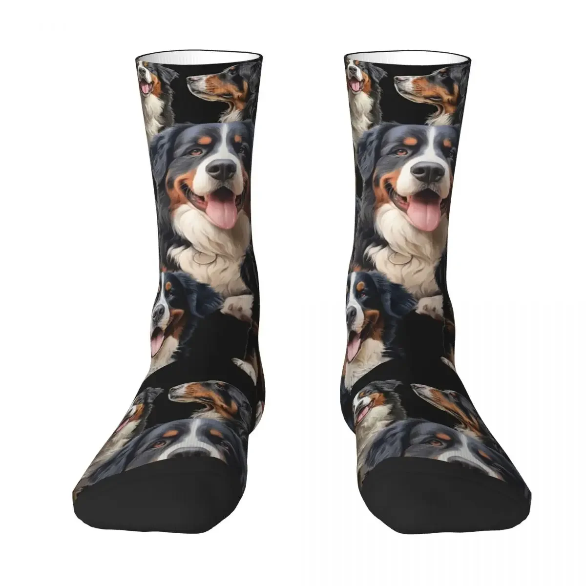 Bernese Mountain Dog Socks Harajuku High Quality Stockings All Season Long Socks Accessories for Man's Woman's Birthday Present