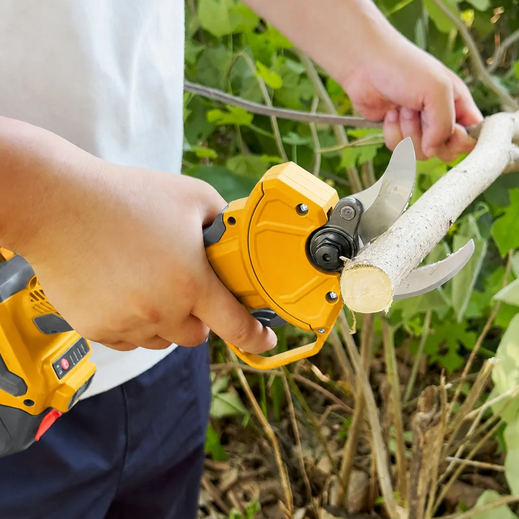 Elektrische snoeischaar met ui - Pole Saw Cordless Telescopic recensie en prijs