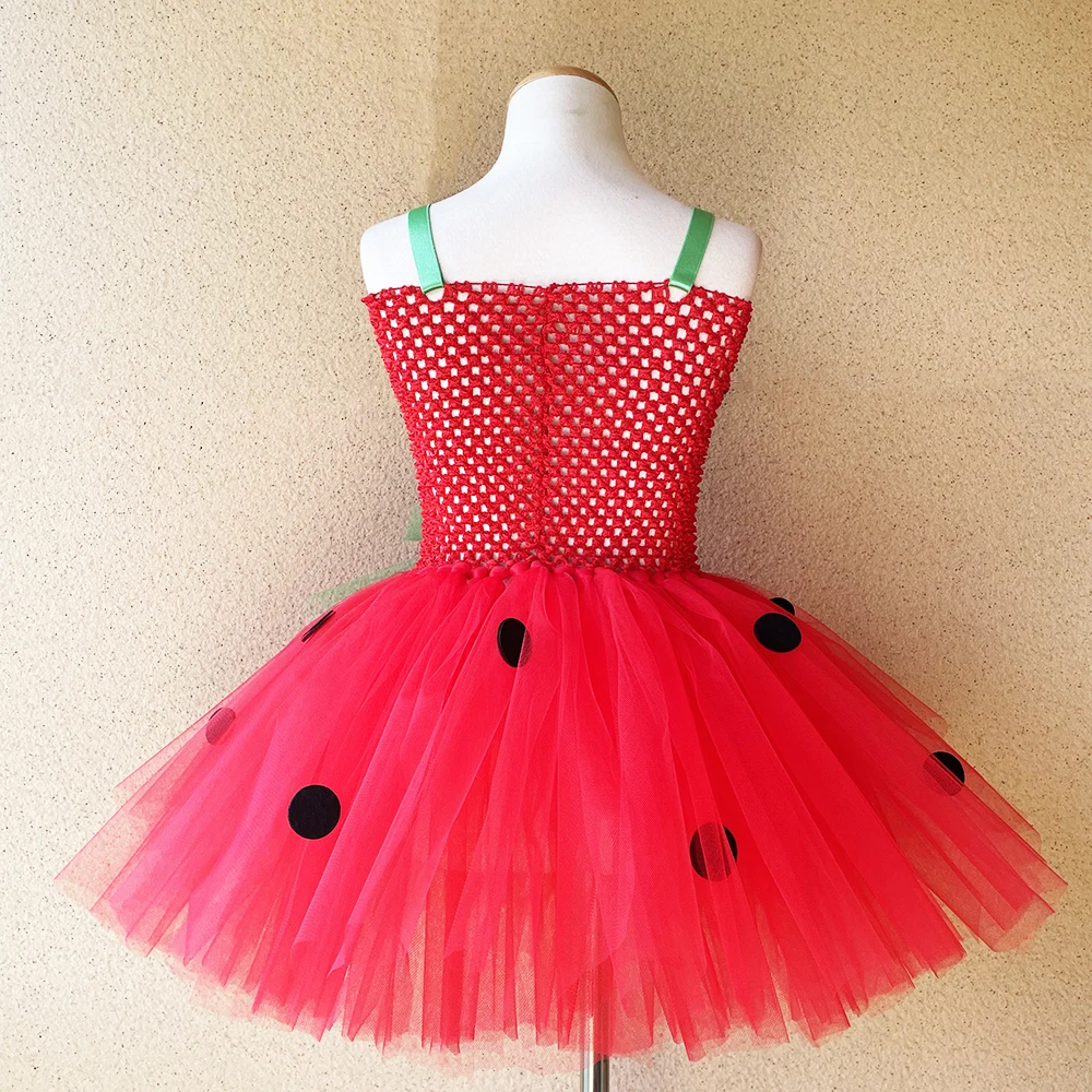 Strawberry Tutu Dress  Princess Dresses for Birthday Costume Watermelon Halloween Christmas Costumes