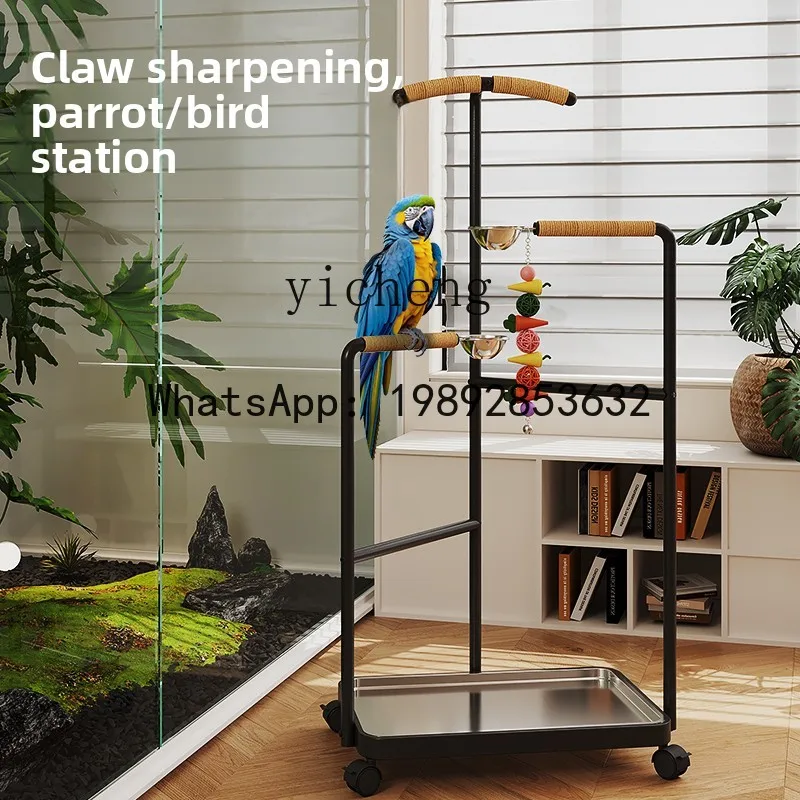 X2  high-grade parrot bird stand stand landing bird stand living room decoration kawaii accessories