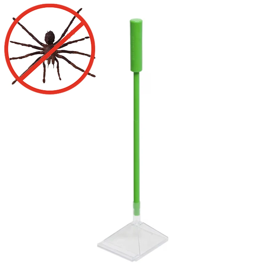 #43 Compare Pest Control Traps Before You Buy