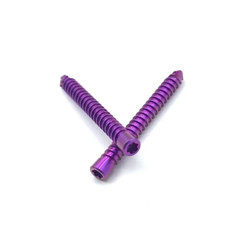 10Pcs Titanium Alloy Taper HC Lock Screws for Small Animal And Pet