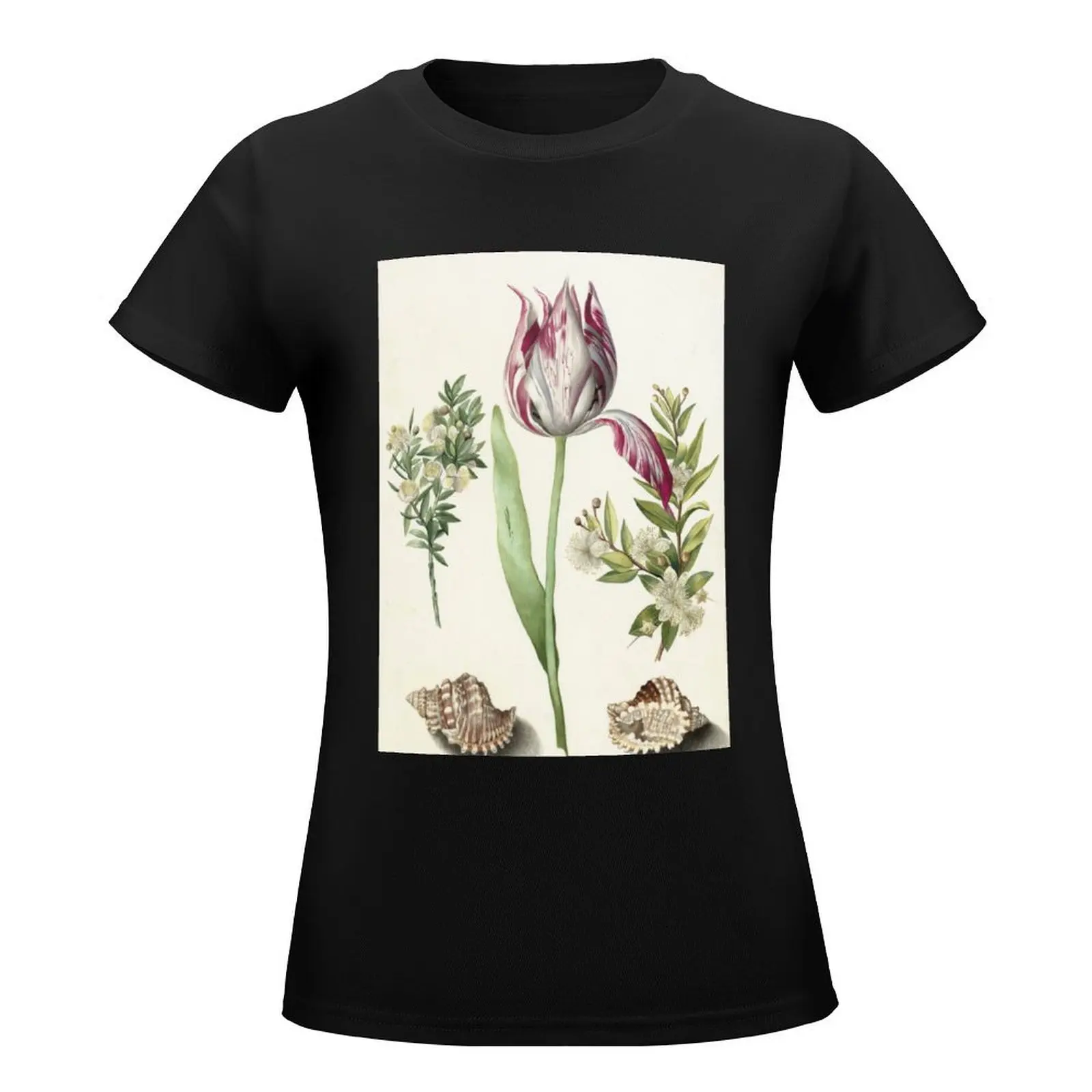 Tulip, two Branches of Myrtle and two Shells Maria Sibylla Merian c. 1700 T-Shirt animal print shirt for girls woman t shirt