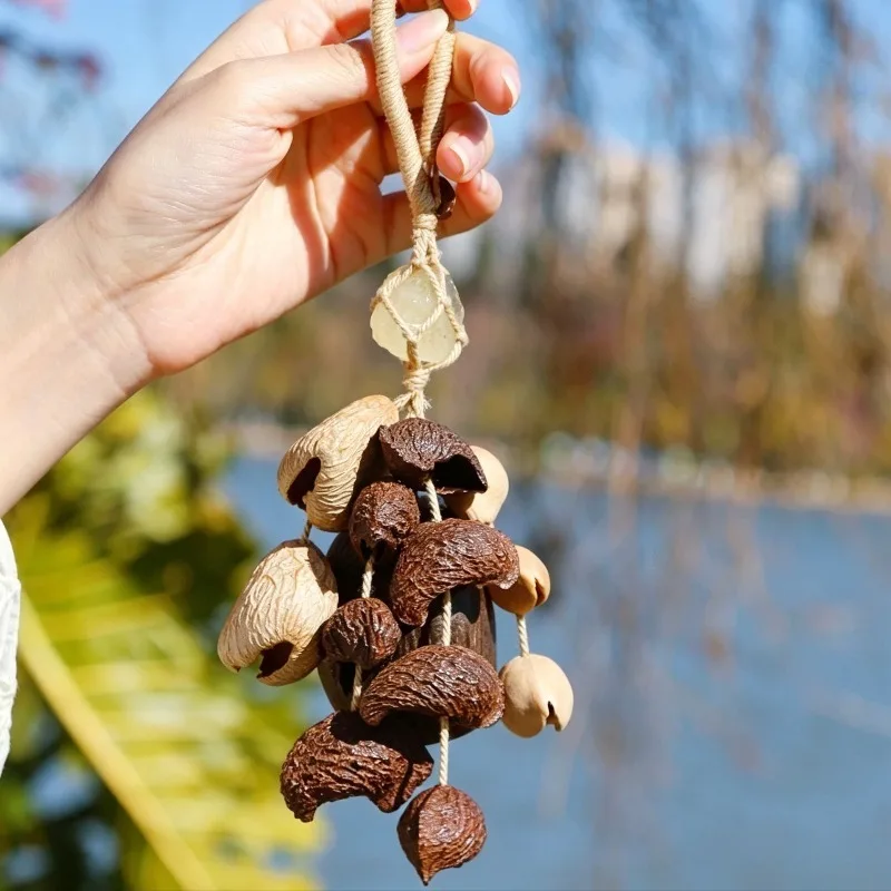 mini-fruit-shell-bells-meditation-wind-chimes-yoga-relax-handmade-decoration-chimes-sound-healing-instruments-accessories