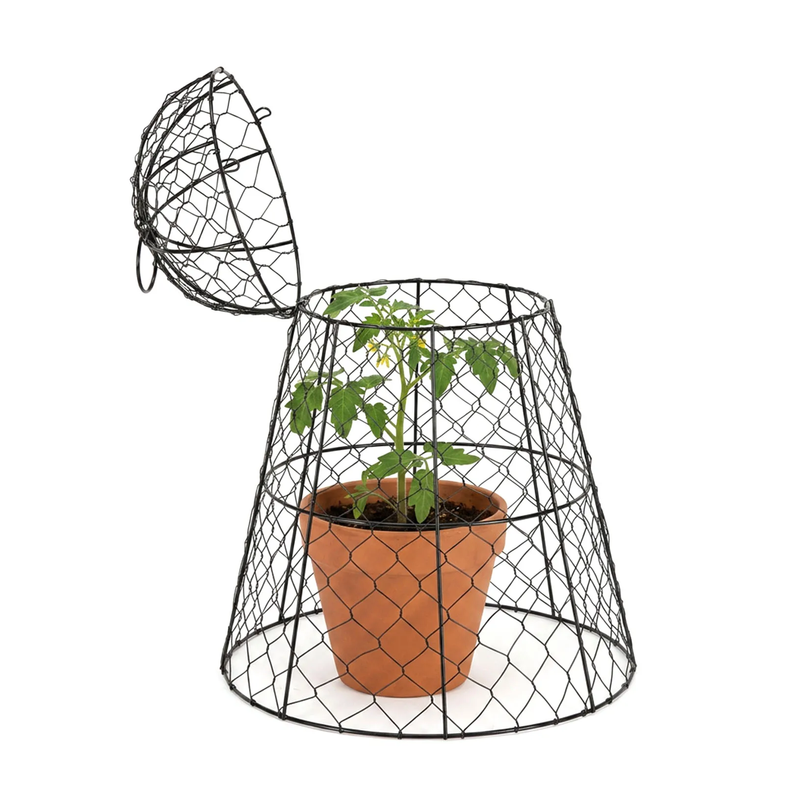 Pack of 6 Chicken Wire Cloche Thicker and Finer Mesh Sturdy Cloche Dome Rustproof for Keep Bunnies Chicken Squirrels Birds Out