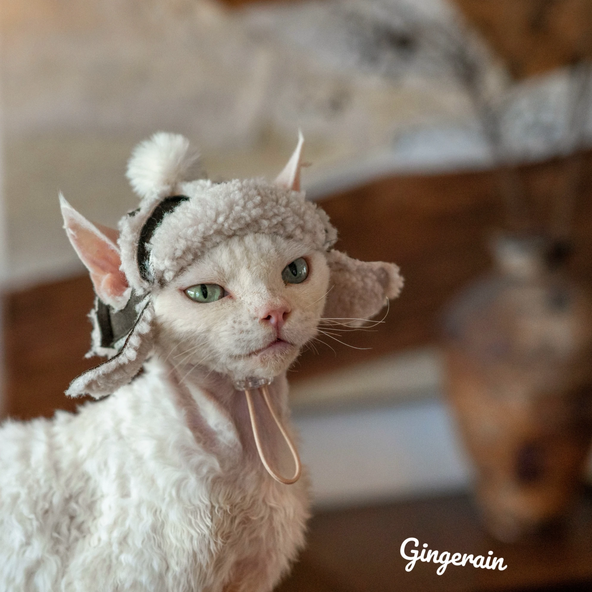 Devon Rex Cat Kittens Hats Sphynx Sheepskin Helmet CamoFleece Hat Winter Warm Adjustable Hats With Hole