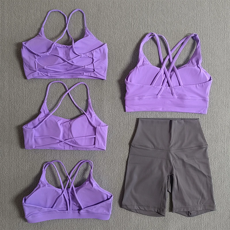 

2 Piece Yoga Set Sports And Fitness Set Classic Shorts Purple With Grey Bra 5 Models Bra Choose Women Gym Suit Training Jogging