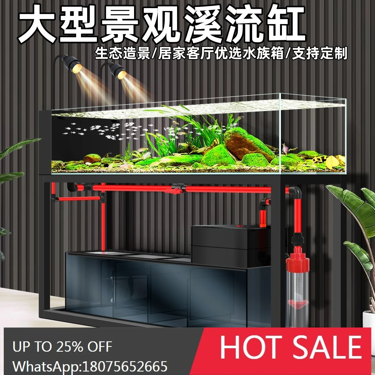 Mjy Beginner's No-C… - image