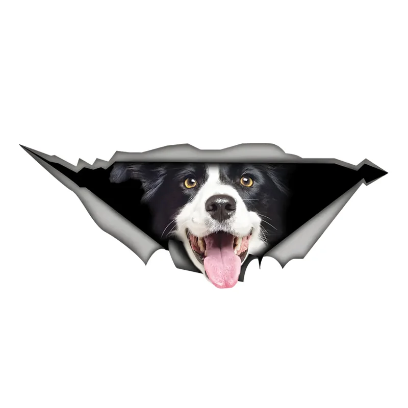 DK393# Border Collie 3D Vinyl Car Sticker, Fun Insurance Bumper Sticker for Cars, Trucks, Motorcycles, Walls, Windows, PVC Mater